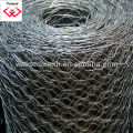 Quality Chicken Mesh Galvanized